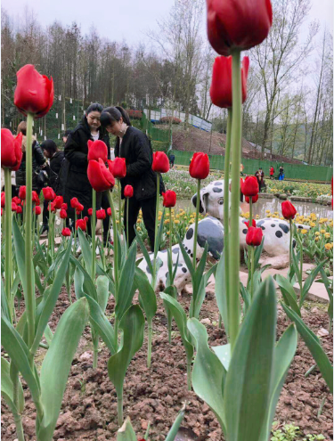 “魅力新女性，巾帼半边天 ”——永固集团2019年三•八妇女节踏青活动