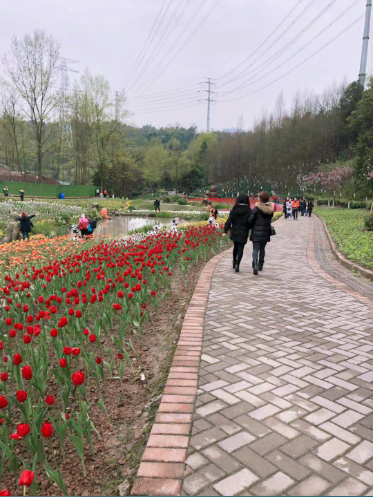 “魅力新女性，巾帼半边天 ”——永固集团2019年三•八妇女节踏青活动