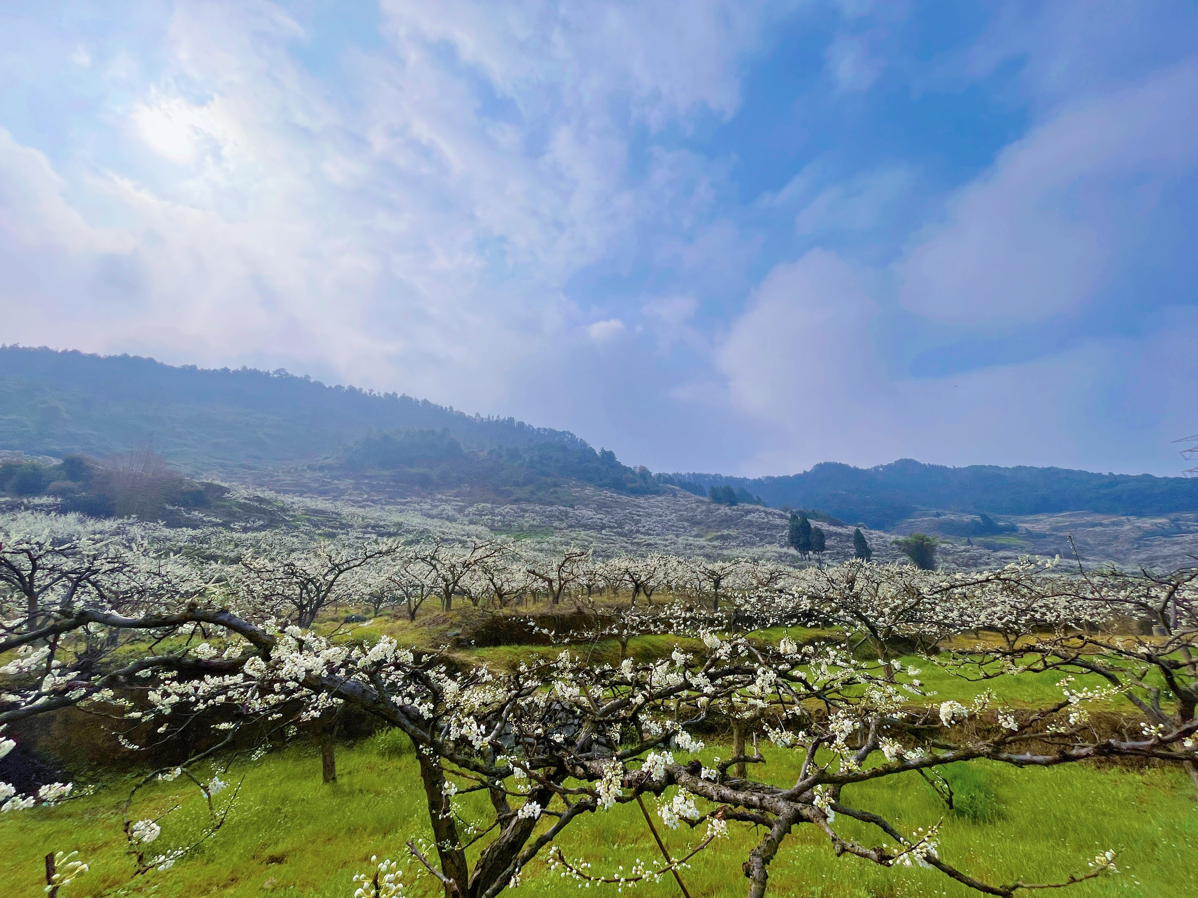 霓裳扮靓半边天，沐春赏花幸福行 ——永固集团2023年三八妇女节踏青活动
